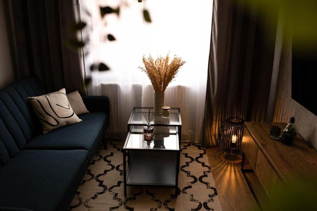 Blue Moon. Cozy Apartment Near Iulius Mall Cluj-Napoca Esterno foto
