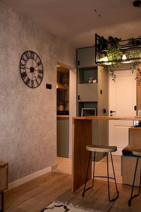 Blue Moon. Cozy Apartment Near Iulius Mall Cluj-Napoca Esterno foto