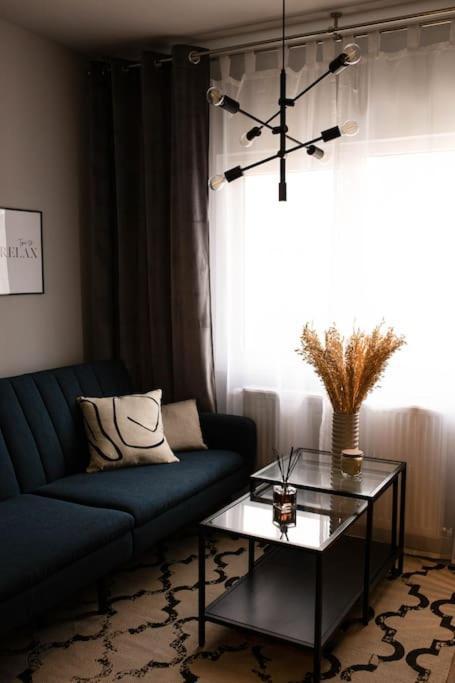 Blue Moon. Cozy Apartment Near Iulius Mall Cluj-Napoca Esterno foto